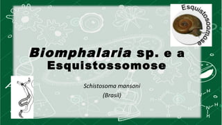 Biomphalaria sp. e a 
Esquistossomose 
Schistosoma mansoni 
(Brasil) 
 
