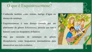 O que é Esquistossomose? 
• Conhecida também como xistose, barriga d’água ou 
doença do caramujo. 
• Esquistossomose é uma doença causada por um 
platelminto do gênero Schistosoma, parasita que tem o 
homem como seu hospedeiro definitivo; 
• Mas que necessita de caramujos do gênero 
Biomphalaria, como hospedeiros intermediários para 
desenvolver seu ciclo evolutivo. 
 
