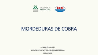 MORDEDURAS DE COBRA
RENATA DHIRAJLAL
MÉDICA RESIDENTE DE CIRURGIA PEDÁTRICA
MAIO/2022
 