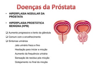• HIPERPLASIA NODULAR DA
PRÓSTATA
• HIPERPLASIA PROSTÁTICA
BENIGNA (HPB)
 Aumento progressivo e lento da glândula
 Comum com o envelhecimento
 Sintomas urinários
Jato urinário fraco e fino
Hesitação para iniciar a micção
Aumento da frequência urinária
Sensação de resíduo pós micção
Gotejamento no final da micção
 