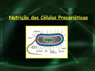 Nutrição das Células Procarióticas 