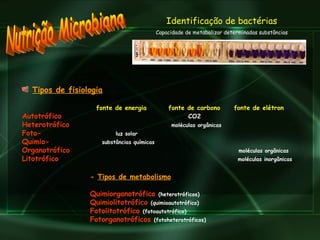 Nutrição Microbiana Tipos de fisiologia fonte de energia  fonte de carbono  fonte de elétron Autotrófico  CO2   Heterotrófico  moléculas orgânicas     Foto-  luz solar Quimio-  substâncias químicas Organotrófico   moléculas orgânicas Litotrófico  moléculas inorgânicas       -  Tipos de metabolismo Quimiorganotrófico  (heterotróficos) Quimiolitotrófico  (quimioautotrófico) Fotolitotrófico  (fotoautotrófico) Fotorganotróficos  (fotoheterotróficos) Identificação de bactérias Capacidade de metabolizar determinadas substâncias 