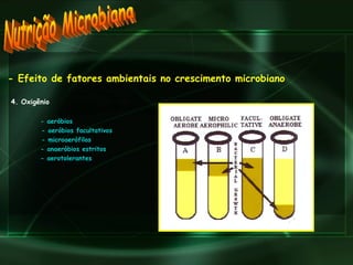 Nutrição Microbiana - Efeito de fatores ambientais no crescimento microbiano 4. Oxigênio - aeróbios - aeróbios facultativos - microaerófilos - anaeróbios estritos  - aerotolerantes 