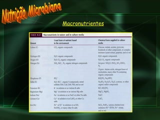 Nutrição Microbiana Macronutrientes 