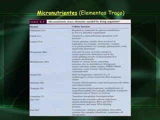 Micronutrientes  (Elementos Traço) 