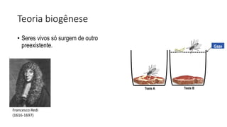 Teoria biogênese
• Seres vivos só surgem de outro
preexistente. Gaze
Teste A Teste B
Francesco Redi
(1616-1697)
 