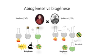 Abiogênese vs biogênese
Needham (1745) Spallanzani (1770)
Força vital
Bico quebrado
Abiogênese Biogênese
 