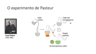 O experimento de Pasteur
Caldo
nutritivo
Caldo sem
microrganismos
Gargalo
quebrado
Os microrganismos voltam
Ar
Louis Pasteur
(1822-1895)
 
