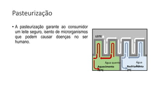 Pasteurização
• A pasteurização garante ao consumidor
um leite seguro, isento de microrganismos
que podem causar doenças no ser
humano.
LEITE
Aquecimento
75ºC
Resfriamento
2ºC
Água quente Água
fria
 