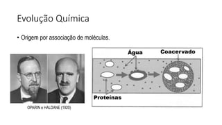 Evolução Química
• Origem por associação de moléculas.
OPARIN e HALDANE (1920)
 