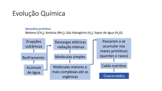 Evolução Química
Atmosfera primitiva:
Metano (CH4), Amônia (NH3), Gás hidrogênio (H2), Vapor de água (H2O).
Passaram a se
acumular nos
mares primitivos
(quentes e rasos)
Erupções
vulcânicas
Resfriamento
Acúmulo
de água
Descargas elétricas
radiação intensa
Moléculas simples
Moléculas maiores e
mais complexas até as
orgânicas
Caldo nutritivo
Coacervados
 