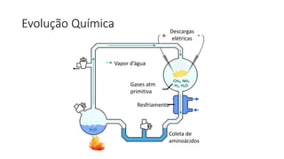 Evolução Química
Vapor d’água
Gases atm
primitiva
Resfriamento
Descargas
elétricas
Coleta de
aminoácidos
 