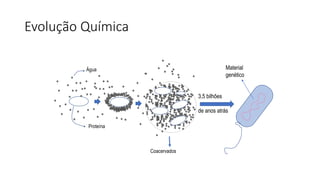 Evolução Química
Água
/
Proteína
Coacervados
3,5 bilhões
de anos atrás
Material
genético
 