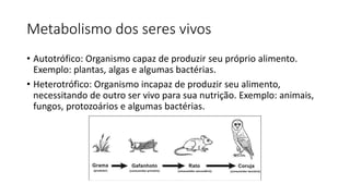 Metabolismo dos seres vivos
• Autotrófico: Organismo capaz de produzir seu próprio alimento.
Exemplo: plantas, algas e algumas bactérias.
• Heterotrófico: Organismo incapaz de produzir seu alimento,
necessitando de outro ser vivo para sua nutrição. Exemplo: animais,
fungos, protozoários e algumas bactérias.
 