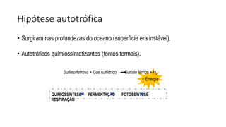Hipótese autotrófica
• Surgiram nas profundezas do oceano (superfície era instável).
• Autotróficos quimiossintetizantes (fontes termais).
Sulfeto ferroso + Gás sulfídrico Sulfato férrico + H2
+ Energia
QUIMIOSSÍNTESE FERMENTAÇÃO FOTOSSÍNTESE
RESPIRAÇÃO
 
