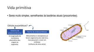 Vida primitiva
• Seres muito simples, semelhantes às bactérias atuais (procariontes).
Sistema de
endomembranas
Teoria da endossimbiose
A invaginação da
membrana
plasmática deu
origem às
organelas.
Mitocôndrias e cloroplastos já
foram organismos de vida livre,
mas passaram a viver em
simbiose
(milhares de anos atrás)
Células eucarióticas?
 