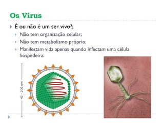 Os Vírus
É ou não é um ser vivo?;
Não tem organização celular;
Não tem metabolismo próprio;
Manifestam vida apenas quando infectam uma célula
hospedeira.