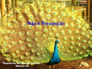 Nãoé Presunção
...
“Sepulcros caiados de branco”.
Mateus 23
 