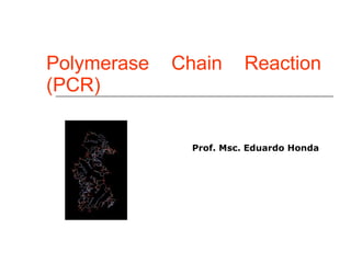 Polymerase Chain Reaction (PCR)  Prof. Msc. Eduardo Honda 