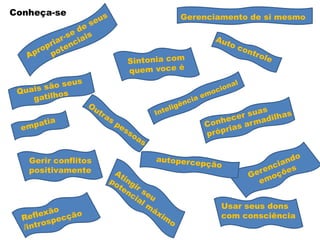 Gerenciamento de si mesmo
Usar seus dons
com consciência
Gerir conflitos
positivamente
Conheça-se
 