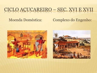 CICLO AÇUCAREIRO – SEC. XVI E XVII
Moenda Doméstica: Complexo do Engenho:
 