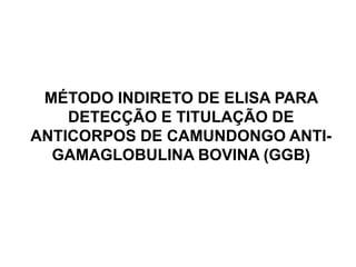 MÉTODO INDIRETO DE ELISA PARA
DETECÇÃO E TITULAÇÃO DE
ANTICORPOS DE CAMUNDONGO ANTI-
GAMAGLOBULINA BOVINA (GGB)
 
