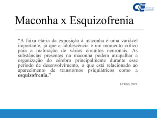 “A faixa etária da exposição à maconha é uma variável
importante, já que a adolescência é um momento crítico
para a maturação de vários circuitos neuronais. As
substâncias presentes na maconha podem atrapalhar a
organização do cérebro principalmente durante esse
período de desenvolvimento, o que está relacionado ao
aparecimento de transtornos psiquiátricos como a
esquizofrenia.”
UFRGS, 2019.
Maconha x Esquizofrenia
 