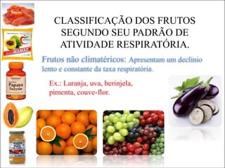 CLASSIFICAÇÃO DOS FRUTOS
SEGUNDO SEU PADRÃO DE
ATIVIDADE RESPIRATÓRIA.
Frutos não climatéricos: Apresentam um declínio
lento e constante da taxa respiratória.
Ex.: Laranja, uva, berinjela,
pimenta, couve-flor.
 