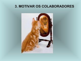 3. MOTIVAR OS COLABORADORES
 