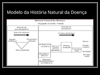 Modelo da História Natural da Doença
 