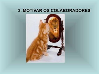 3. MOTIVAR OS COLABORADORES
 