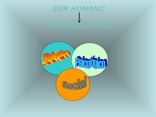SER HUMANO 
BIOPSICOSOCIAL 
 