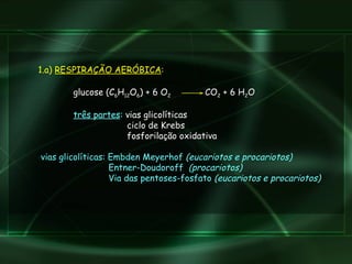 1.a)  RESPIRAÇÃO AERÓBICA : glucose (C 6 H 12 O 6 ) + 6 O 2   CO 2  + 6 H 2 O três partes :  vias glicolíticas   ciclo de Krebs    fosforilação oxidativa  vias glicolíticas: Embden Meyerhof  (eucariotos e procariotos) Entner-Doudoroff  (procariotos) Via das pentoses-fosfato  (eucariotos e procariotos) 