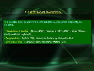    o aceptor final de elétrons é uma substância inorgânica diferente do oxigênio. Pseudomonas  e  Bacillus     Nitrato (NO 3- ) reduzido a Nitrito (NO 2- ), Óxido Nitroso (N 2 O) ou Gás Nitrogênio (N 2 ); Desulfovibrio     Sulfato (SO 4 2- ) formando Sulfeto de Hidrogênio H 2 S; Outras bactérias    Carbonato (CO 3 2- ) formando Metano (CH 4 ) 1.b)  RESPIRAÇÃO ANAERÓBICA : 