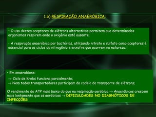 Em anaerobiose:     Ciclo de Krebs funciona parcialmente;     Nem todos transportadores participam da cadeia de transporte de elétrons; O rendimento de ATP mais baixo do que na respiração aeróbica    Anaeróbicos crescem mais lentamente que os aeróbicos     DIFICULDADES NO DIAGNÓTICOS DE INFECÇÕES 1.b)  RESPIRAÇÃO ANAERÓBICA : O uso destes aceptores de elétrons alternativos permitem que determinados organismos respirem onde o oxigênio está ausente. A respiração anaeróbica por bactérias, utilizando nitrato e sulfato como aceptores é essencial para os ciclos do nitrogênio e enxofre que ocorrem na natureza. 
