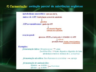 2)  Fermentação :   oxidação parcial de substâncias orgânicas 