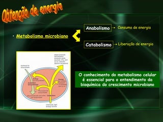 Obtenção de energia Metabolismo microbiano   Anabolismo Catabolismo O conhecimento do metabolismo celular é essencial para o entendimento da bioquímica do crescimento microbiano Consumo de energia Liberação de energia 