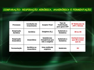 COMPARAÇÃO: RESPIRAÇÃO AERÓBICA, ANAERÓBICA E FERMENTAÇÃO 02 Substrato Uma molécula orgânica Aeróbica ou Anaeróbica Fermentação Variável (menor que 38 e maior que 2) Substrato e Oxidativa Substâncias Inorgânicas que não o oxigênio Anaeróbica Respiração Anaeróbica 38 ou 36 Substrato e Oxidativa Oxigênio (O 2 ) Aeróbica Respiração Aeróbica N° Moléculas de ATP / Glicose Tipo de Fosforilação para gerar ATP Aceptor Final Condições de Crescimento Processos 