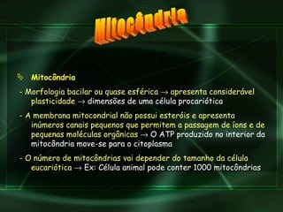 Mitocôndria   - Morfologia bacilar ou quase esférica    apresenta considerável plasticidade    dimensões de uma célula procariótica  - A membrana mitocondrial não possui esteróis e apresenta inúmeros canais pequenos que permitem a passagem de íons e de pequenas moléculas orgânicas    O ATP produzido no interior da mitocôndria move-se para o citoplasma - O número de mitocôndrias vai depender do tamanho da célula eucariótica    Ex: Célula animal pode conter 1000 mitocôndrias  Mitocôndria 