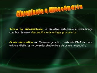 Cloroplasto e Mitocôndria Teoria da endossimbiose     Relativa autonomia e semelhança com bactérias    descendência de antigos procariotos Célula eucariótica      Quimera genética contendo DNA de duas origens distintas     do endossimbionte e da célula hospedeira 
