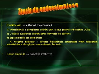 Teoria da endossimbiose Evidências:    estudos moleculares 1) Mitocôndrias e cloroplastos contém DNA e seus próprios ribossomos (70S) 2) O núcleo eucariótico contém genes derivados de Bacteria 3) Especificidade aos antibióticos 4) Filogenia molecular    estudos filogenéticos comparando rRNA relacionam mitocôndrias e cloroplastos com o domínio Bacteria Endossimbiose    Sucesso evolutivo 