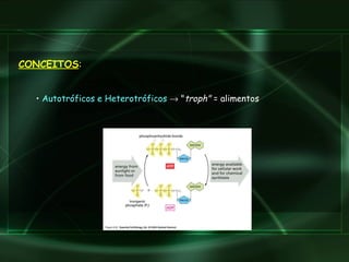 CONCEITOS : Autotróficos e Heterotróficos     " troph"  = alimentos 