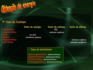 Tipos de fisiologia fonte de energia  fonte de carbono  fonte de elétron Autotrófico  CO 2   Heterotrófico  moléculas orgânicas     Foto-  luz solar Quimio-  substâncias químicas Organotrófico   moléculas orgânicas Litotrófico  moléculas inorgânicas       -  Tipos de metabolismo Quimiorganotrófico  (heterotróficos) Quimiolitotrófico  (quimioautotrófico) Fotolitotrófico  (fotoautotrófico) Fotorganotróficos  (fotoheterotróficos) Obtenção de energia 