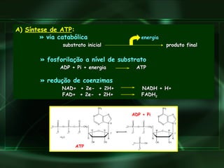 A)  Síntese de ATP :   »  via catabólica   energia   substrato inicial  produto final   »  fosforilação a nível de substrato ADP + Pi + energia  ATP   »  redução de coenzimas   NAD+  + 2e-  + 2H+  NADH + H+     FAD+  + 2e-  + 2H+  FADH 2   ATP ADP + Pi  