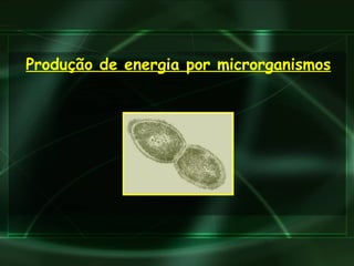 Produção de energia por microrganismos 