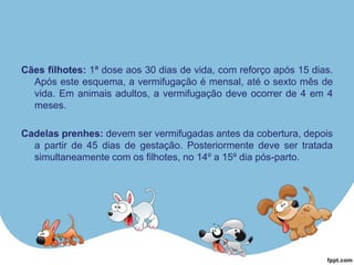 Cães filhotes: 1ª dose aos 30 dias de vida, com reforço após 15 dias.
Após este esquema, a vermifugação é mensal, até o sexto mês de
vida. Em animais adultos, a vermifugação deve ocorrer de 4 em 4
meses.
Cadelas prenhes: devem ser vermifugadas antes da cobertura, depois
a partir de 45 dias de gestação. Posteriormente deve ser tratada
simultaneamente com os filhotes, no 14º a 15º dia pós-parto.
 