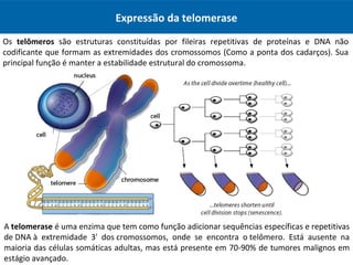 Expressão da telomerase
Os telômeros são estruturas constituídas por fileiras repetitivas de proteínas e DNA não
codificante que formam as extremidades dos cromossomos (Como a ponta dos cadarços). Sua
principal função é manter a estabilidade estrutural do cromossoma.
A telomerase é uma enzima que tem como função adicionar sequências específicas e repetitivas
de DNA à extremidade 3' dos cromossomos, onde se encontra o telômero. Está ausente na
maioria das células somáticas adultas, mas está presente em 70-90% de tumores malignos em
estágio avançado.
 