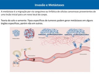 Invasão e Metástases
A metástase é a migração por via sanguínea ou linfática de células cancerosas provenientes de
uma lesão inicial para um novo local do corpo.
Teoria do solo e semente: Tipos específicos de tumores podem gerar metástases em alguns
órgãos específicos, porém não em outros.
 