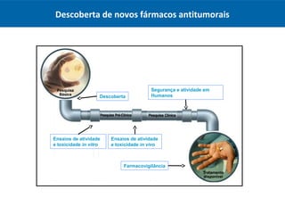 Descoberta de novos fármacos antitumorais
Descoberta
Ensaios de atividade
e toxicidade in vitro
Farmacovigilância
Segurança e atividade em
Humanos
Ensaios de atividade
e toxicidade in vivo
 