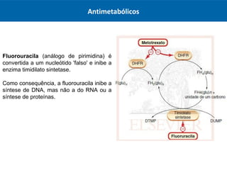 Antimetabólicos
Fluorouracila (análogo de pirimidina) é
convertida a um nucleótido 'falso' e inibe a
enzima timidilato sintetase.
Como consequência, a fluorouracila inibe a
síntese de DNA, mas não a do RNA ou a
síntese de proteínas.
 